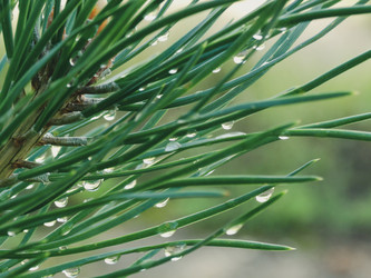 Similar image 22222595