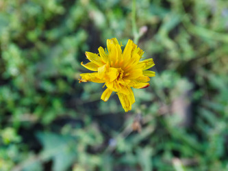 Similar image 22222597