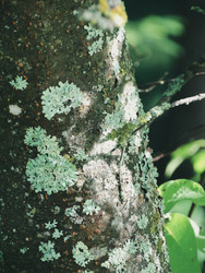 Similar image 22222598