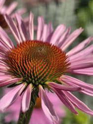 Similar image 22223839