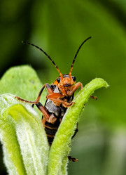 Similar image 22223840