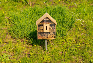 Similar image 22222601