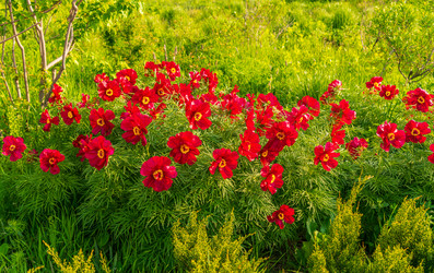 Similar image 22222603