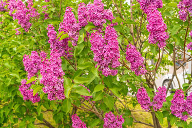 Similar image 22222604