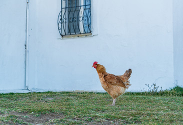 Similar image 22222606