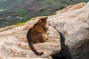 Similar image 22222612