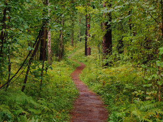 Similar image 22222848