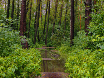 Similar image 22222849