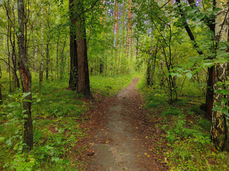 Similar image 22222850