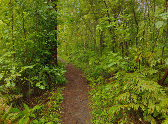 Similar image 22222851