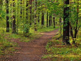 Similar image 22222852