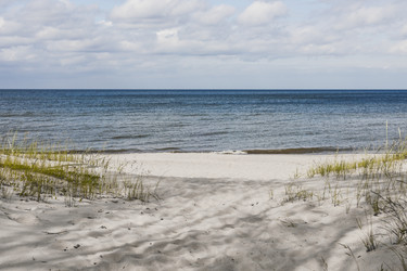 Similar image 22233230