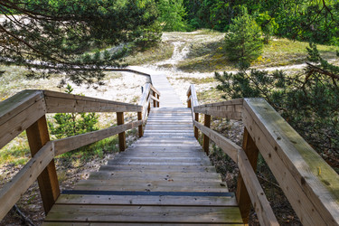 Similar image 22233231