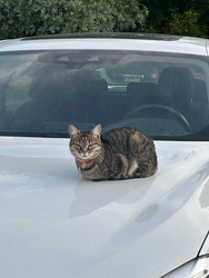 Similar image 22222855