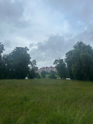 Similar image 22222859