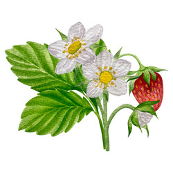 Similar image 22228124