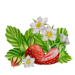 Similar image 22228125