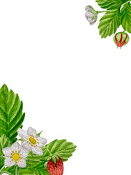 Similar image 22228127