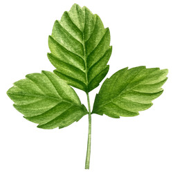 Similar image 22228379