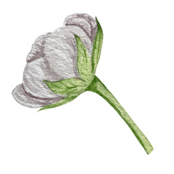 Similar image 22228380