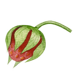 Similar image 22228381