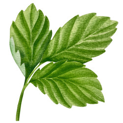 Similar image 22228383