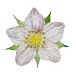 Similar image 22228384