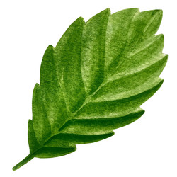 Similar image 22228386