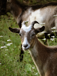 Similar image 22222864