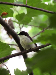 Similar image 22223182