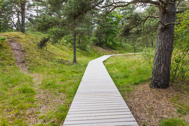 Similar image 22257833