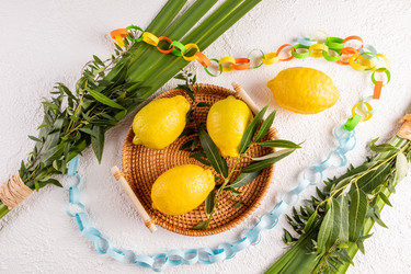 Similar image 22223183