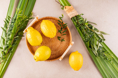 Similar image 22223186