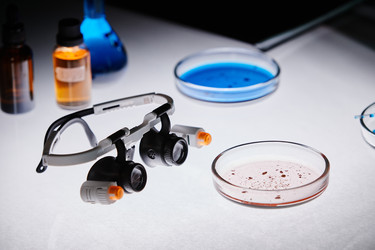 Similar image 22213009