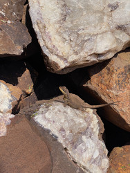 Similar image 22222993