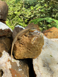 Similar image 22222996