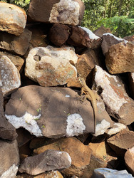 Similar image 22222997