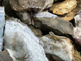 Similar image 22222998