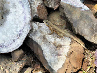 Similar image 22222999