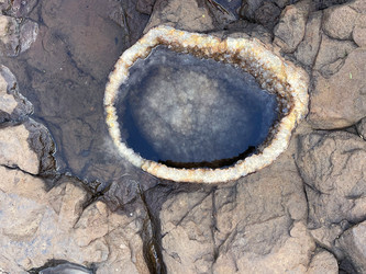 Similar image 22223007