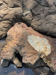 Similar image 22223008