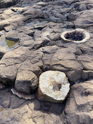 Similar image 22223009