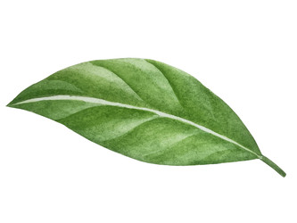 Similar image 22228414