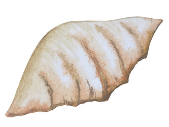 Similar image 22228425