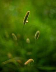 Similar image 22223844