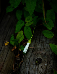 Similar image 22223845