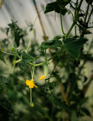 Similar image 22223846