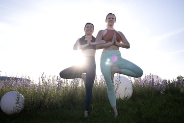 Similar image 22232512