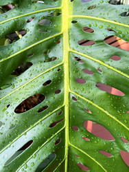 Similar image 22223200