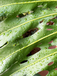 Similar image 22223201